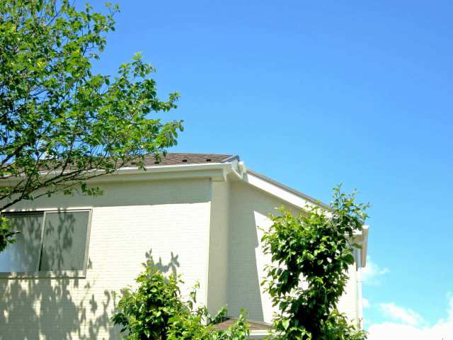 Grace Series グレースシリーズとはの画像