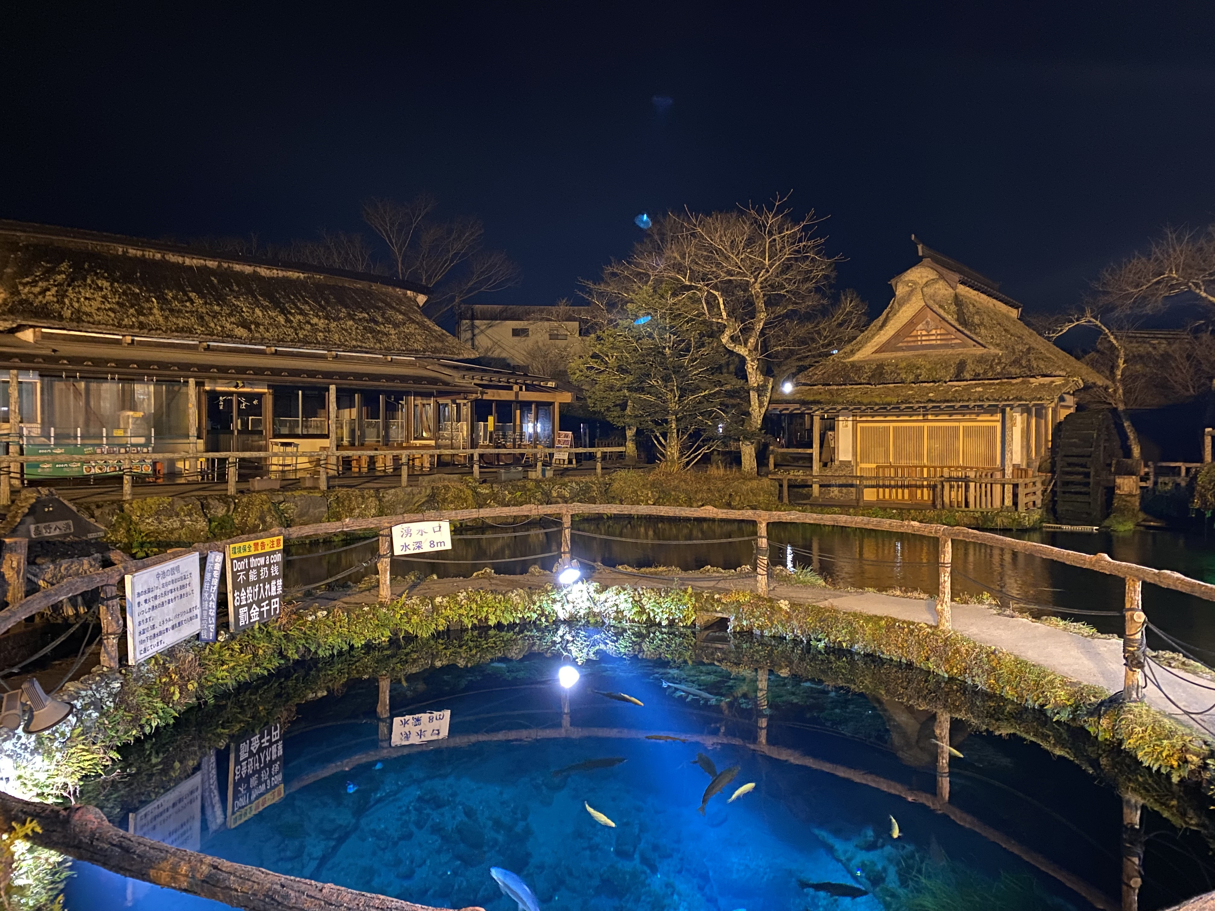 忍野八海へ行って参りました～の画像