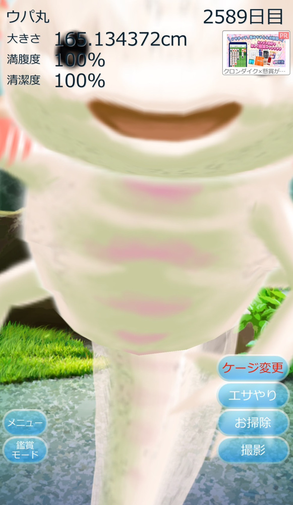 ウパ丸　成長期の画像