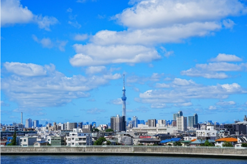 スカイツリー遠望