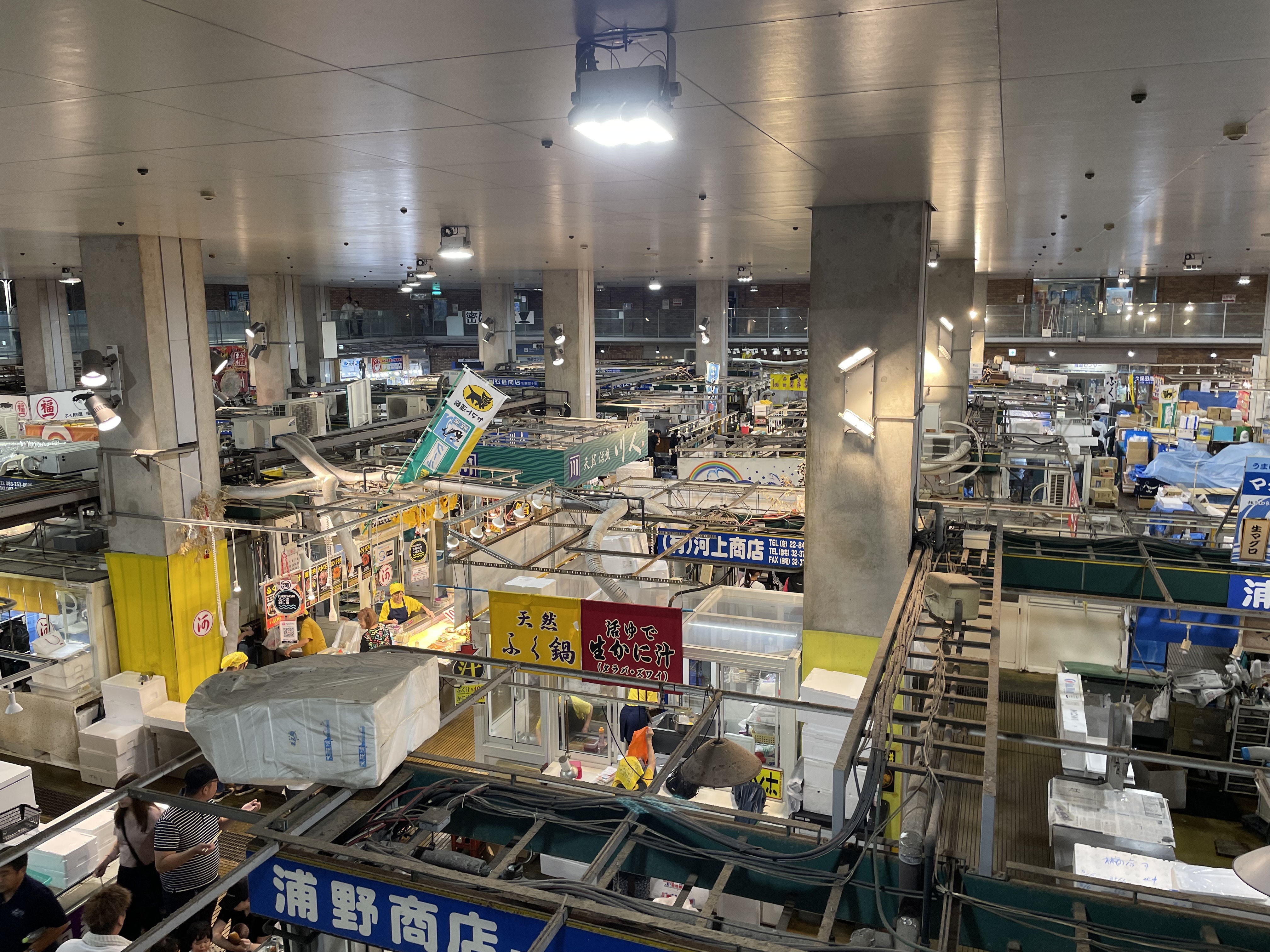 唐戸市場に行ってきました！の画像