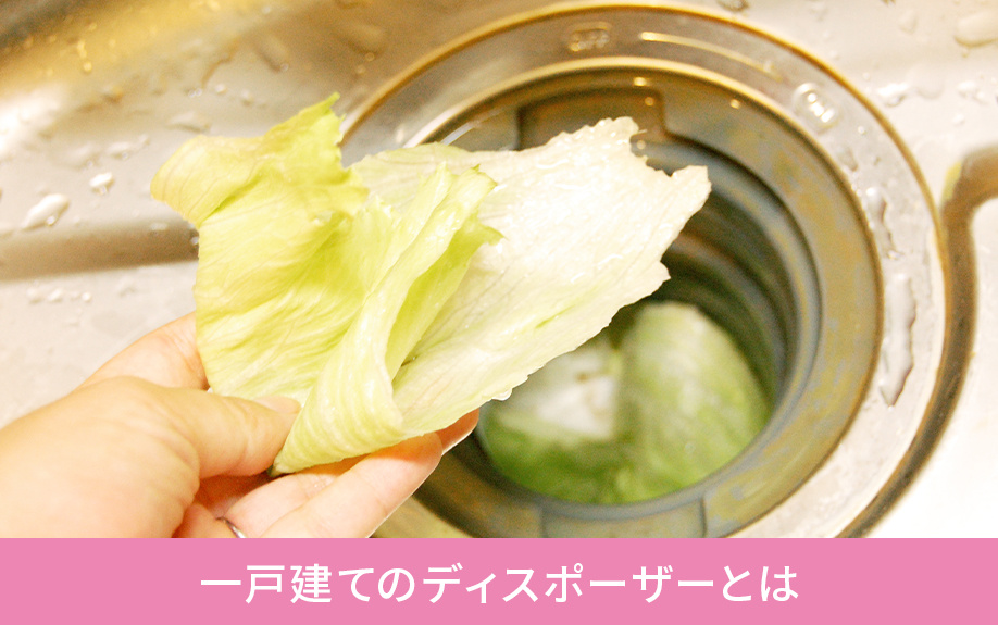 一戸建てのディスポーザーとは
