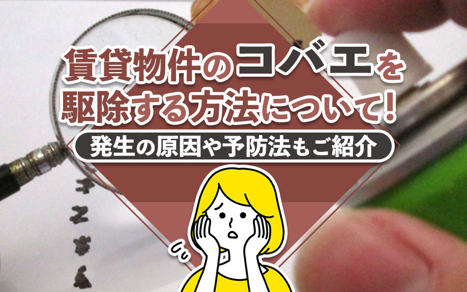 賃貸物件のコバエを駆除する方法について！発生の原因や予防法もご紹介の画像