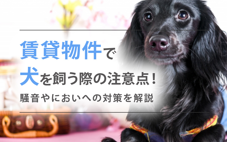 賃貸物件で犬を飼う際の注意点！騒音やにおいへの対策を解説の画像