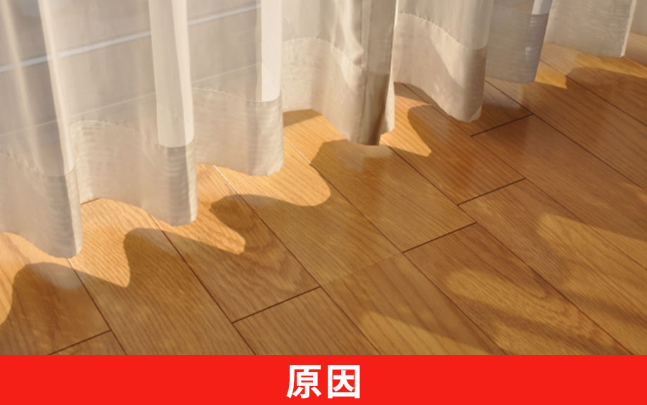 賃貸物件で害虫が発生する原因