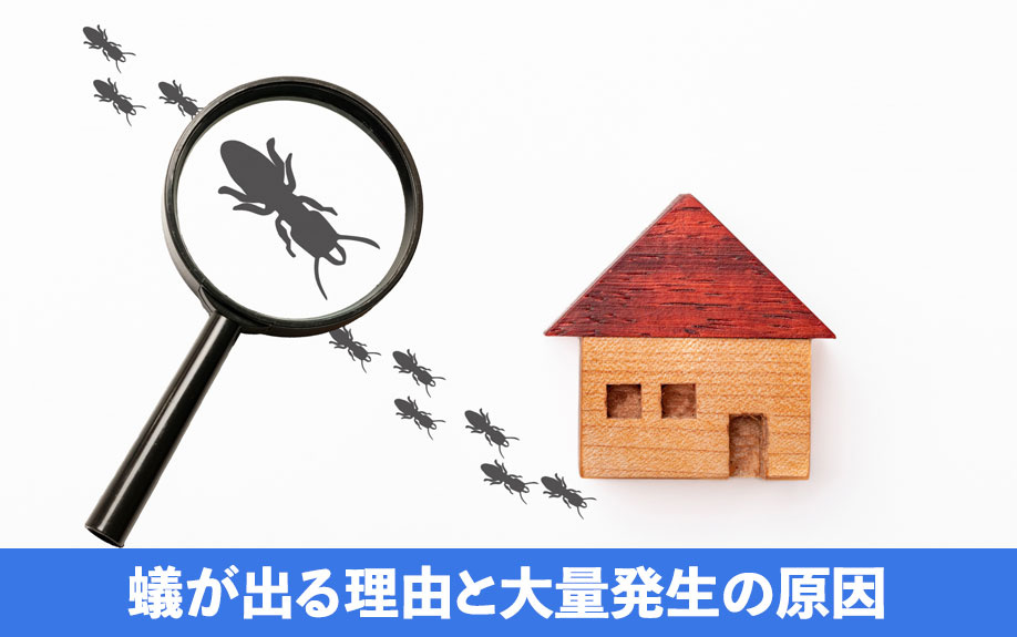 アパートに蟻が出る理由と大量発生の原因