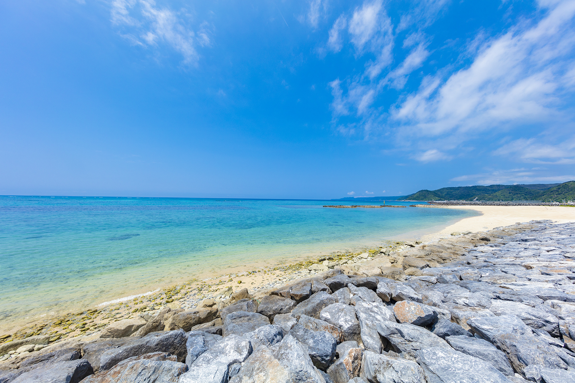 2025年度　夏期休暇のお知らせ。の画像