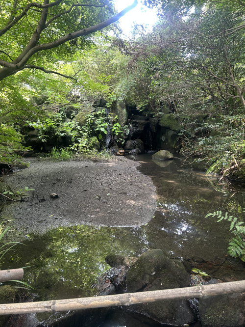 。～bbq～。の画像