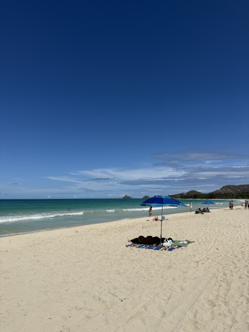 波と笑顔と、夏のひとコマの画像