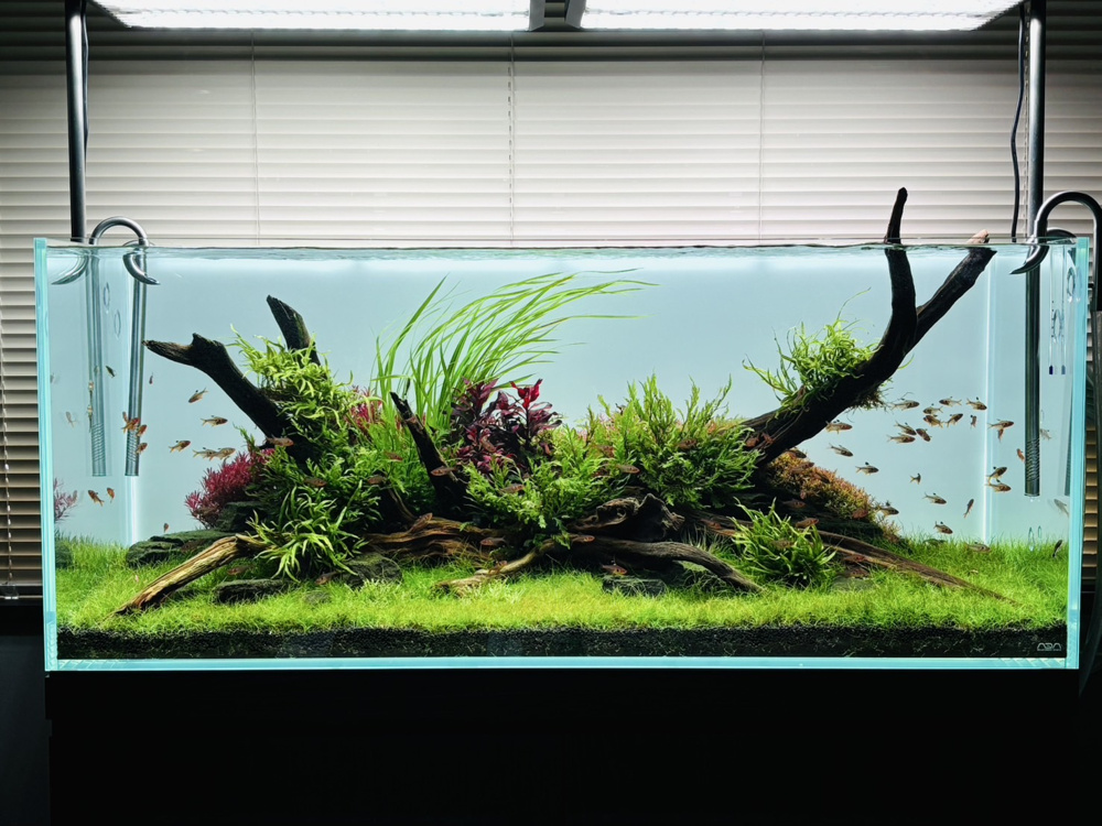 趣味と嫉妬とお仕事に関しての画像