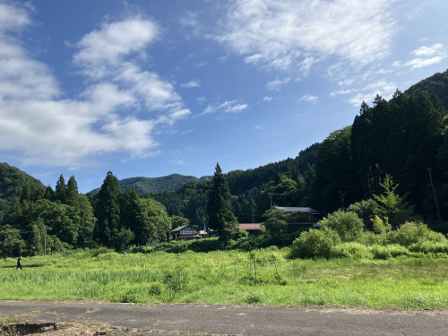 帰省の画像