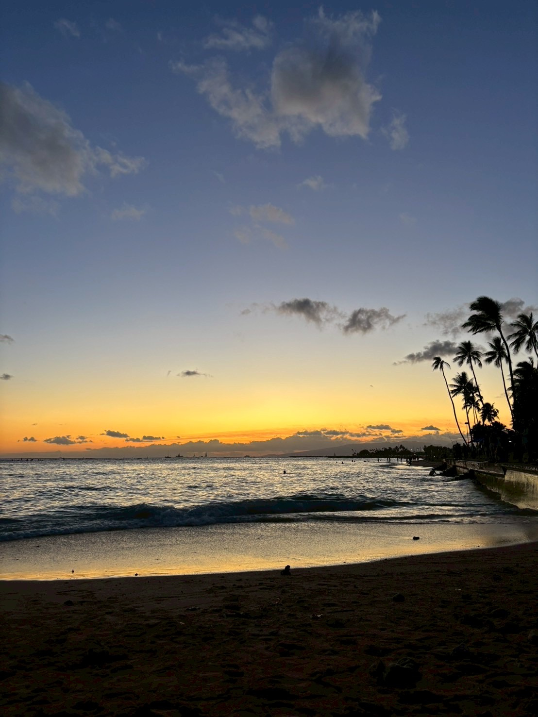 暑さに負けず、８月後半も走り抜けます！の画像