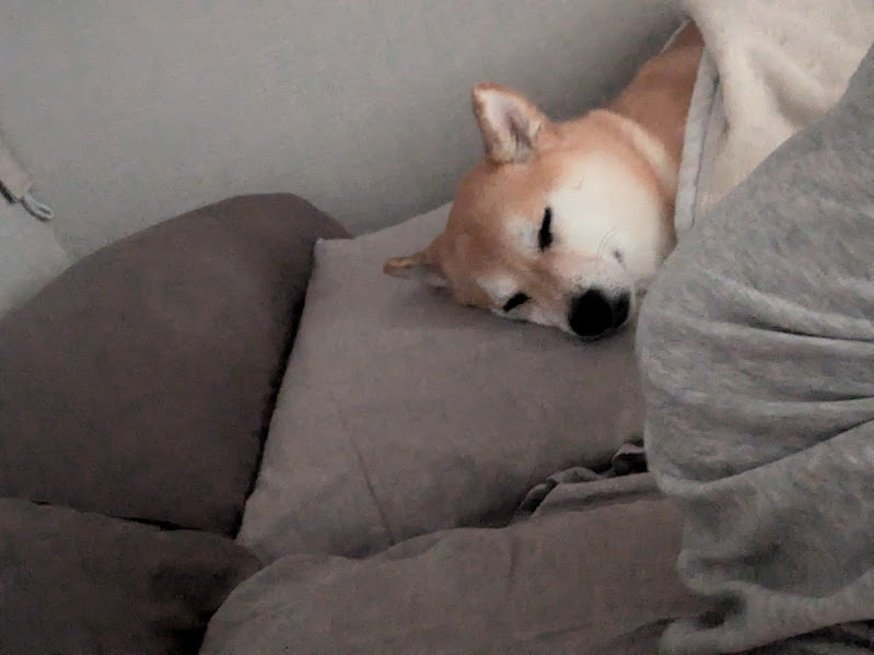 夏季連休ありがとうございました!の画像