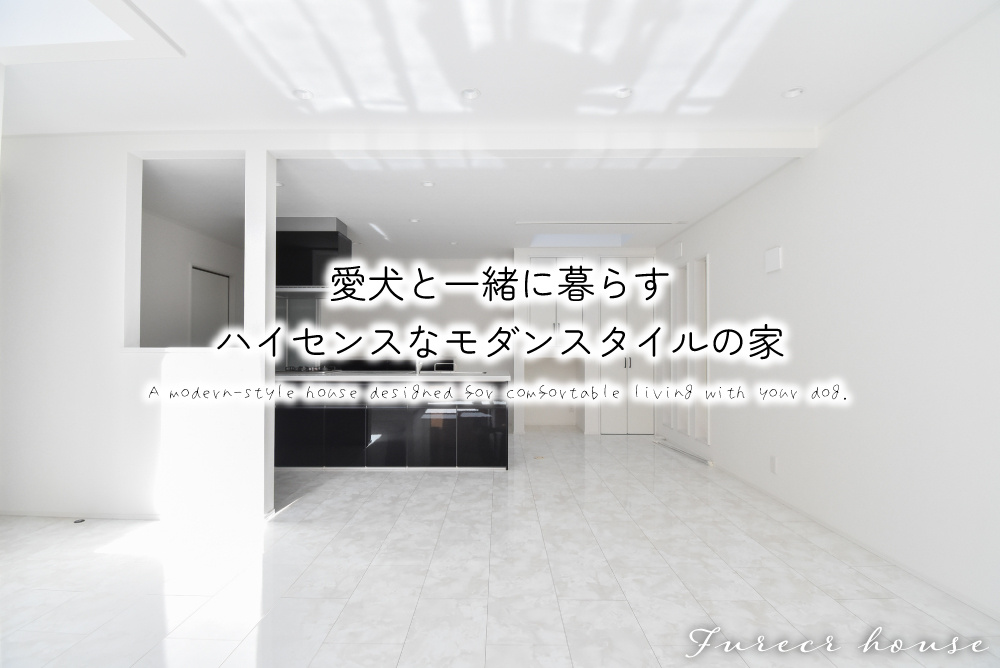 愛犬と一緒に暮らすハイセンスなモダンスタイルの家