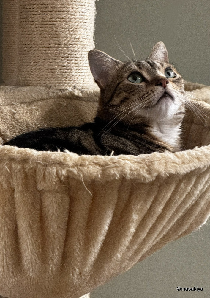 お盆明けの画像