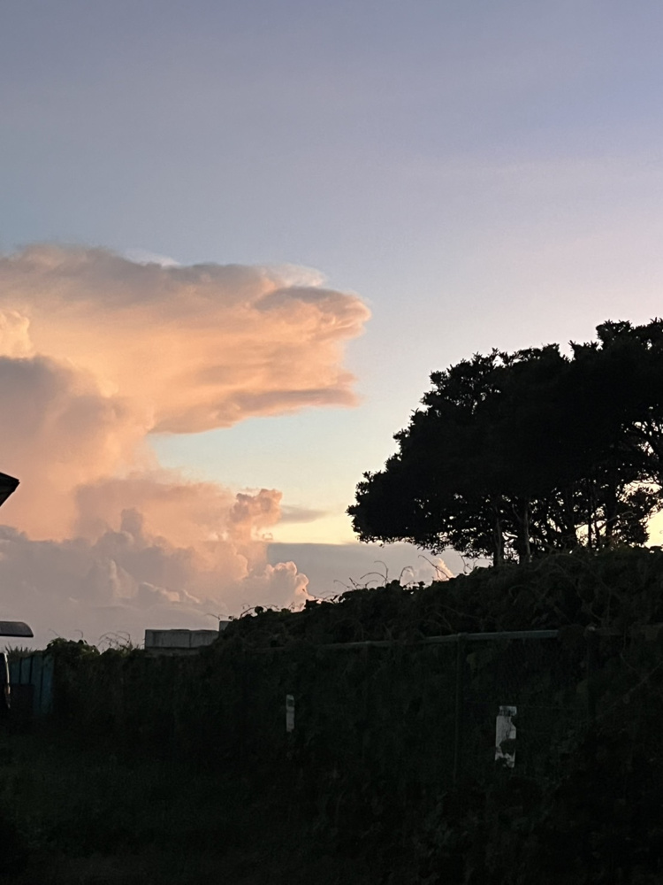 【BLOG】お盆休み！の画像