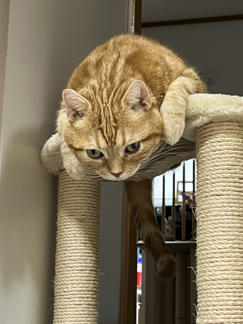 お盆休み・・・の画像