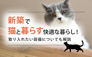 新築で猫と暮らす快適な暮らし！取り入れたい設備についても解説の画像