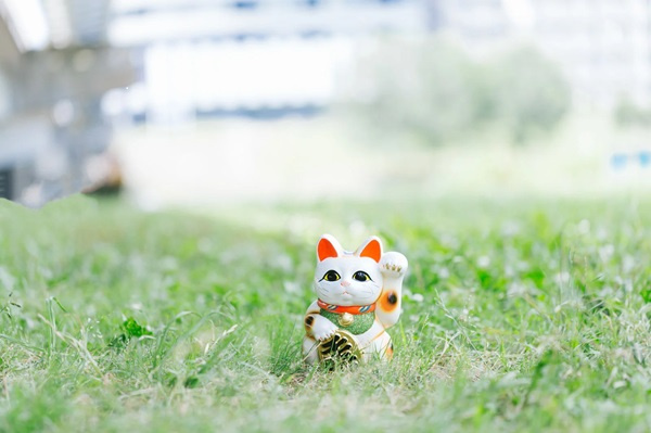 守口市で相続した空き家の買取はどこが安心？業者選びのコツと注意点も紹介の画像