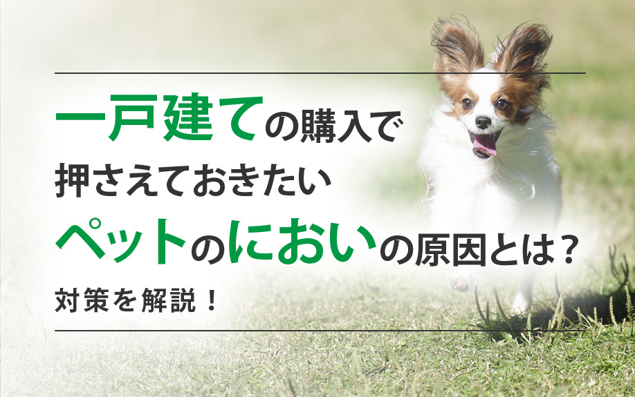 一戸建ての購入で押さえておきたいペットのにおいの原因とは？対策を解説！