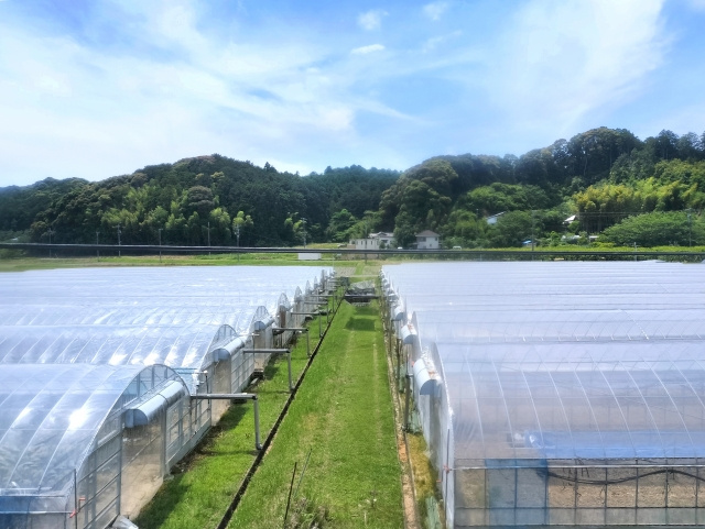 農地売却時の税金はいくら？控除制度や売却の流れについても解説