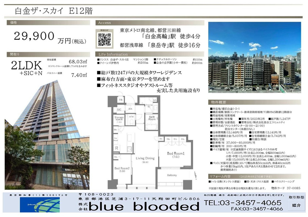 白金ザスカイの画像