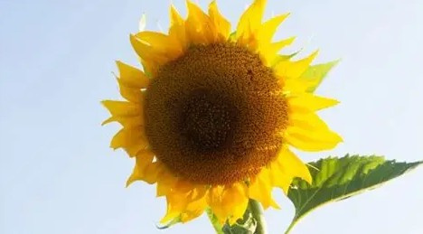 明けました！！の画像