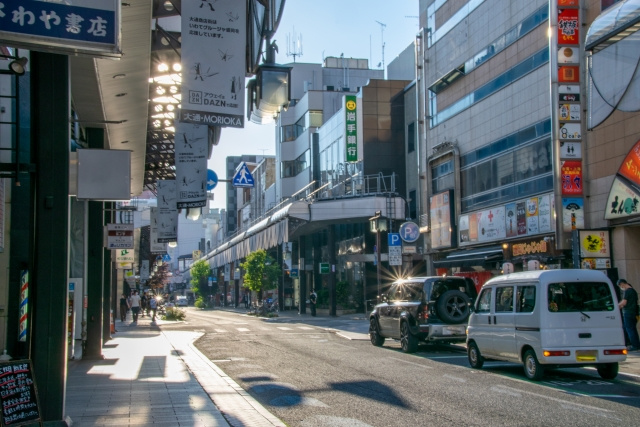 盛岡市大通エリアの生活利便性と将来性の画像