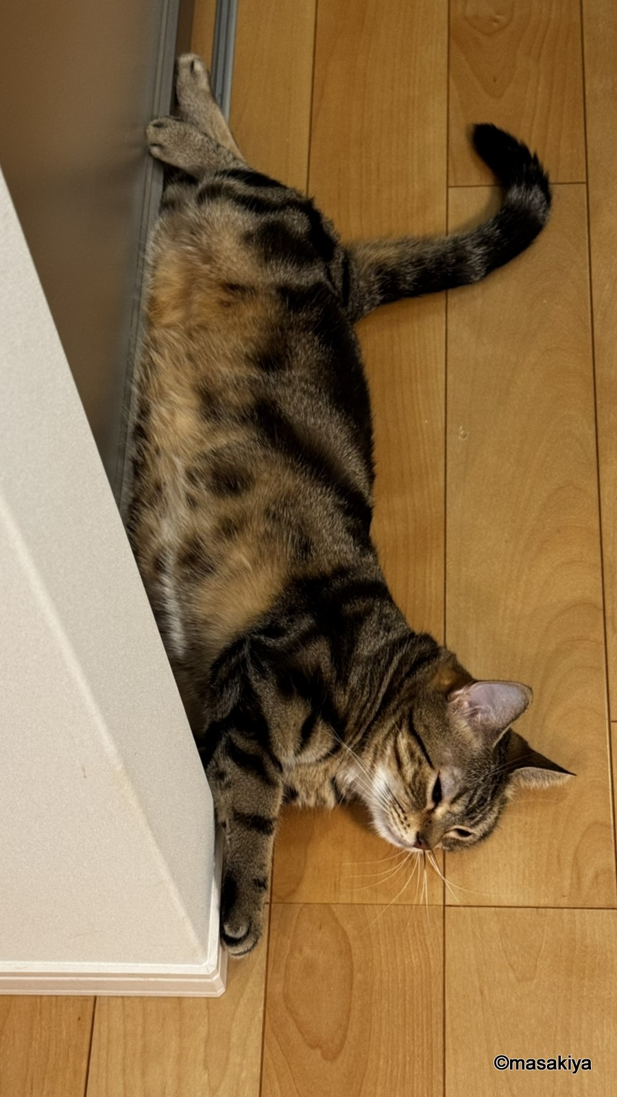 足がつるの画像