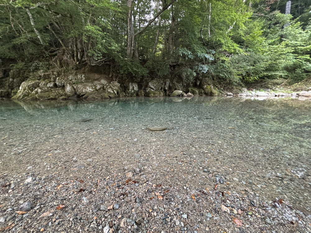 blueなriver!の画像