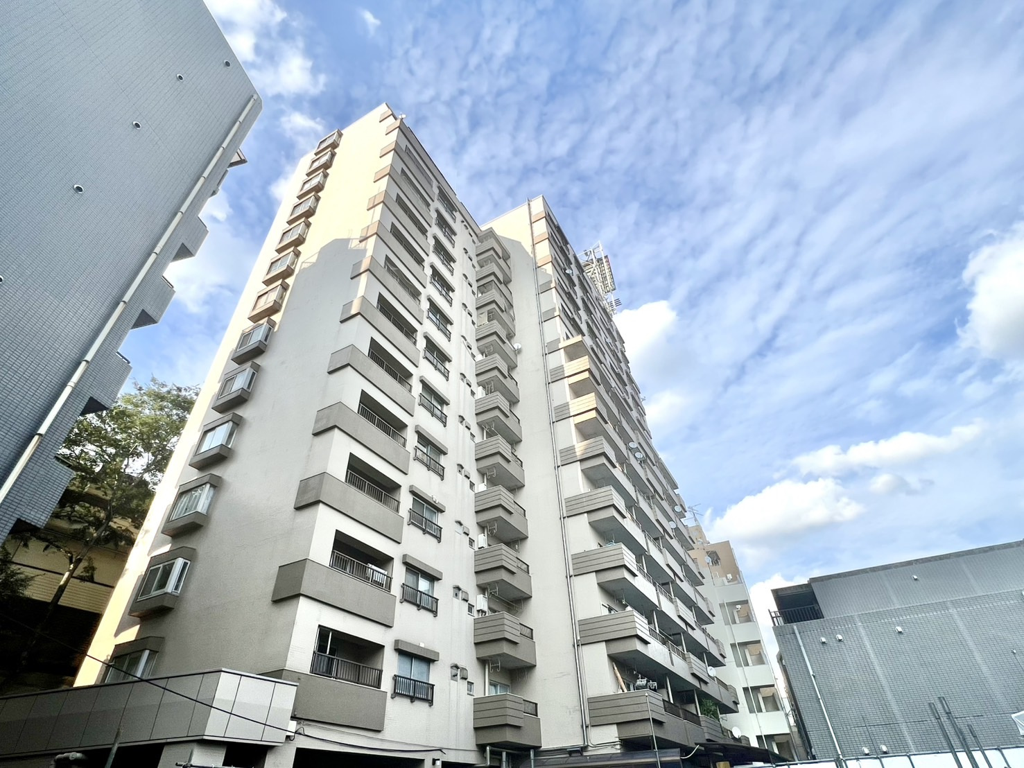 ライオンズマンション松原9階部分をお預かりしました！の画像