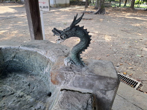 ☆龍☆の画像