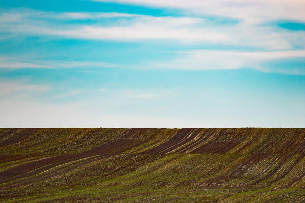 八戸市で相続した土地の活用方法は？放置せず有効に使うポイントをご紹介の画像
