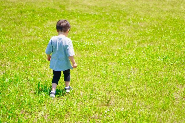 盛岡市月が丘の住宅事情と人気の理由の画像