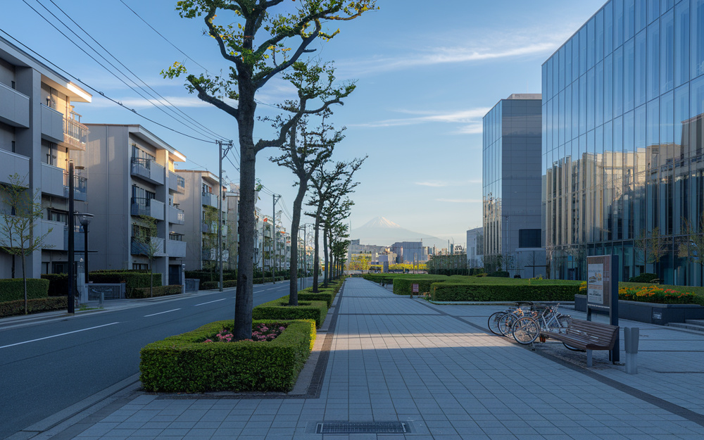 武庫川女子大学の共学化は西宮市に何をもたらす？影響や地域の変化も紹介の画像