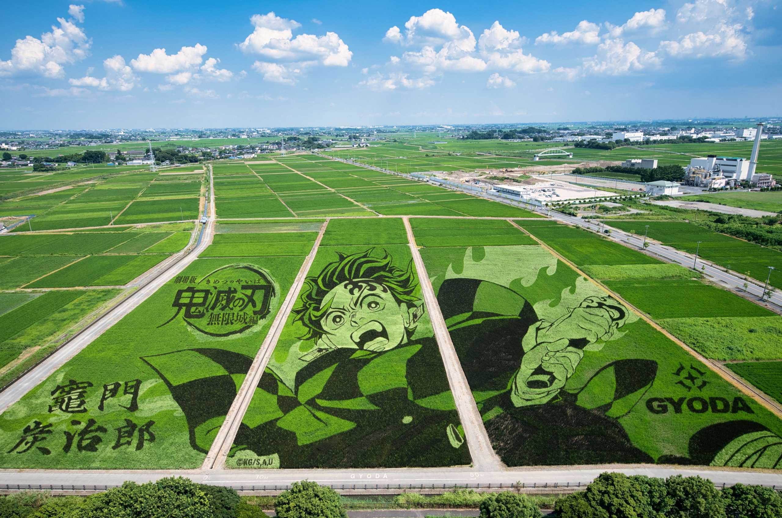 行田市の古代蓮の里で田んぼアート開催！アクセス駐車場や撮影スポットイベント情報も紹介の画像