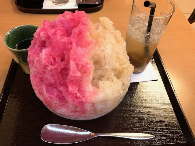 野間口家の夏２０２５の画像