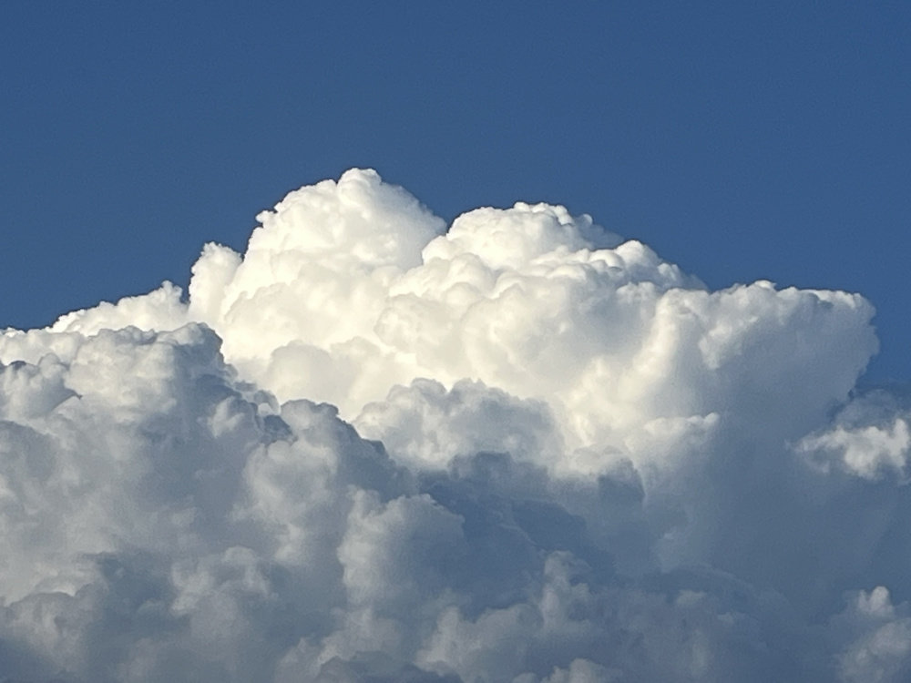 西三河で夏休みの画像