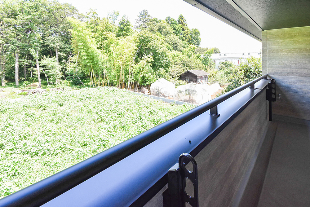 緑豊かな眺望