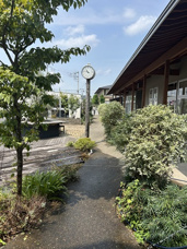 【定期】Rupoガーデン 植栽剪定&草取りの画像