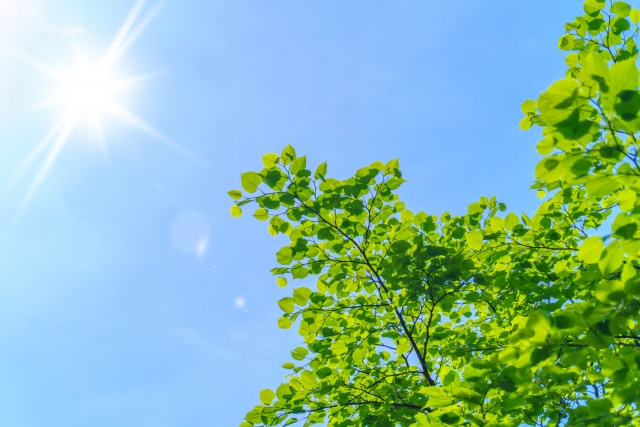 盛岡市津志田エリアの不動産動向の画像