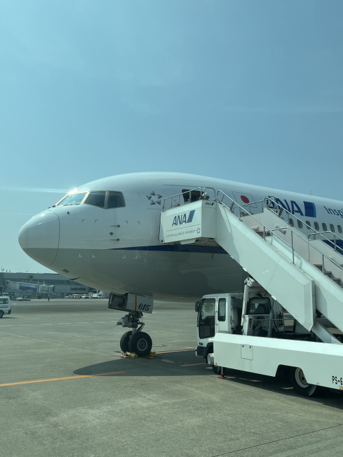 熊本市で車なし生活を始めたい方必見！おすすめ地域や選び方を紹介の画像