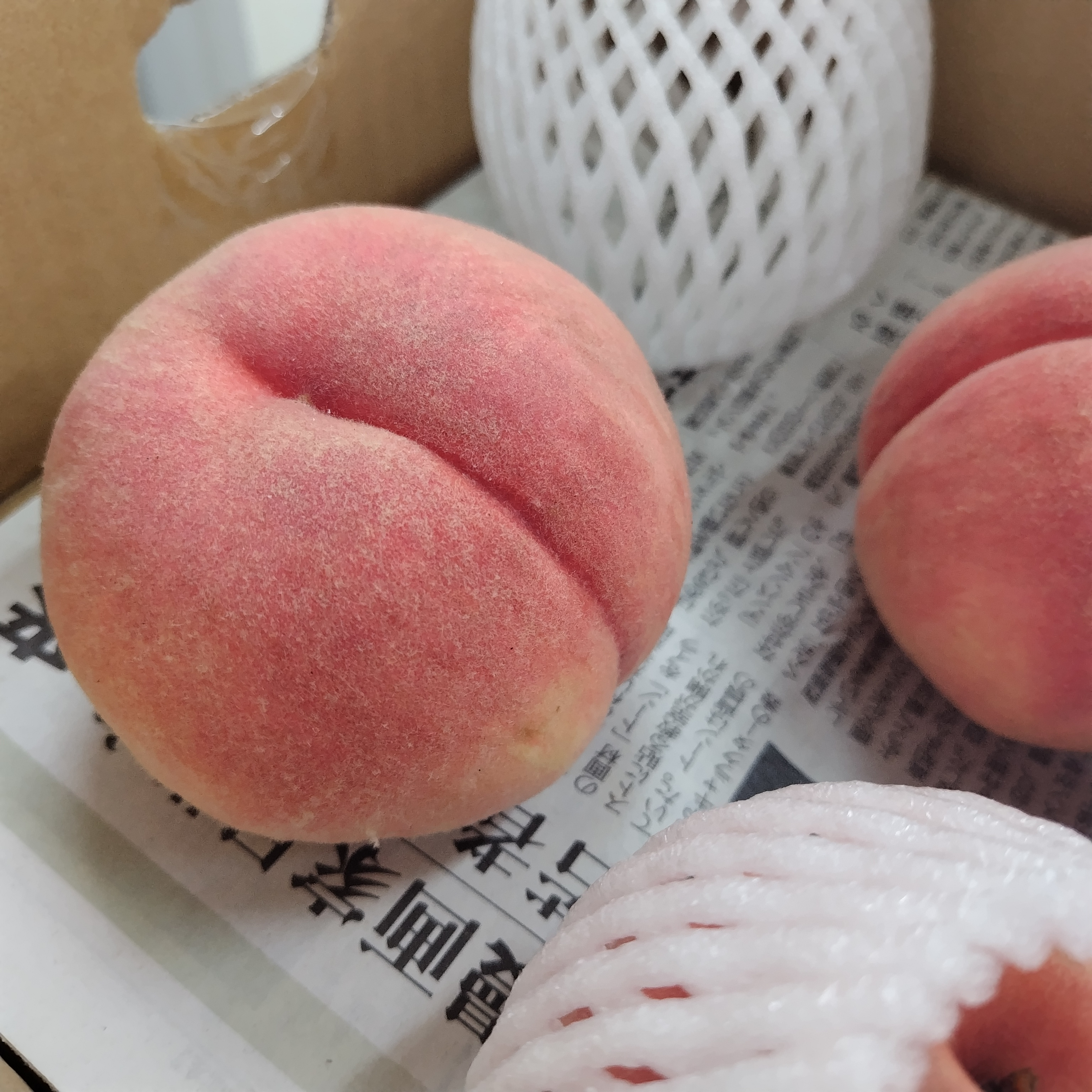 福島の宝石「まどか」と、夏のごちそう冷製桃パスタの画像