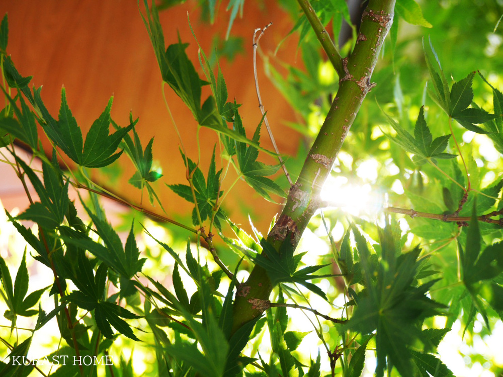 長岡京市神足垣外ヶ内に暮らす魅力―環境と利便性を兼ね備えた唯一無二の土地―の画像