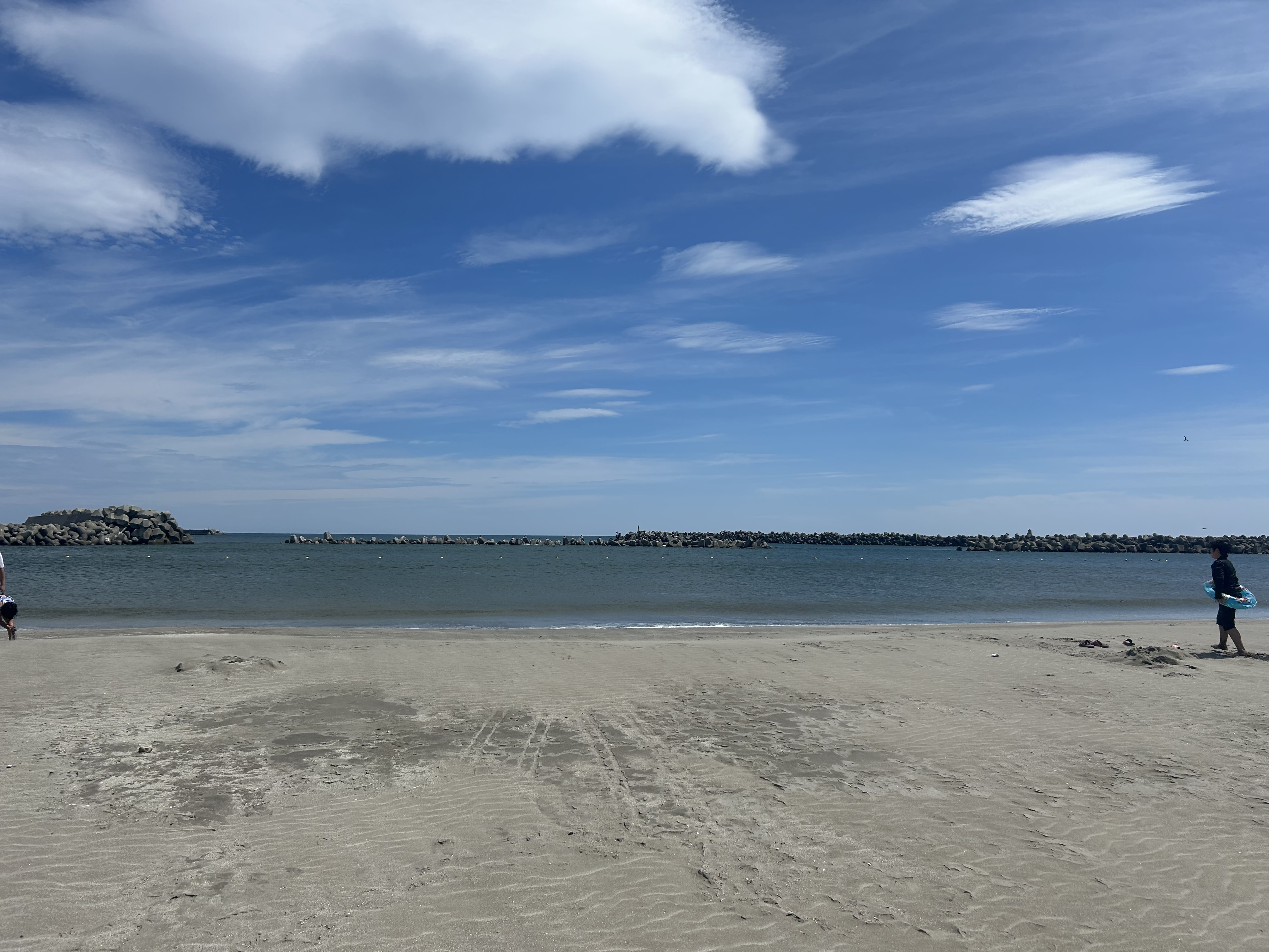 異常な暑さ( ;∀;)の画像