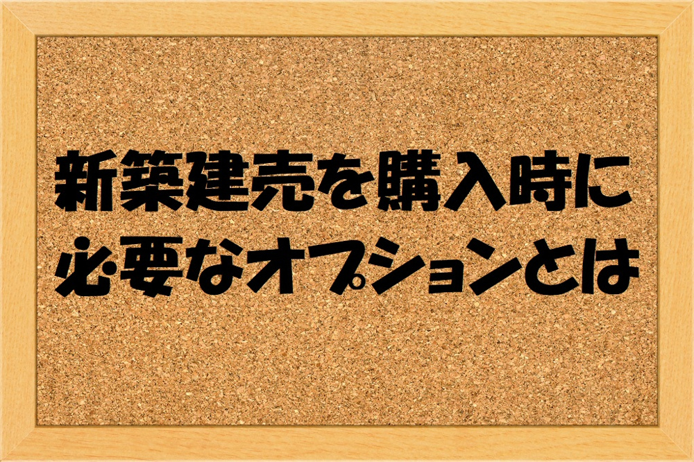 新築購入時の必要なオプションはの画像