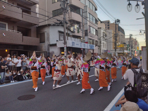 阿波踊りの画像