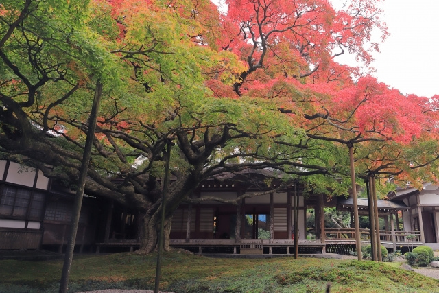転勤族家族が福岡を選ぶ理由は何？福岡や糸島の魅力と住みやすさも紹介の画像