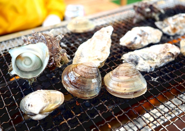 福岡市西区で糸島のおいしいご飯屋さんはどこ？住宅購入検討中の方におすすめ情報の画像