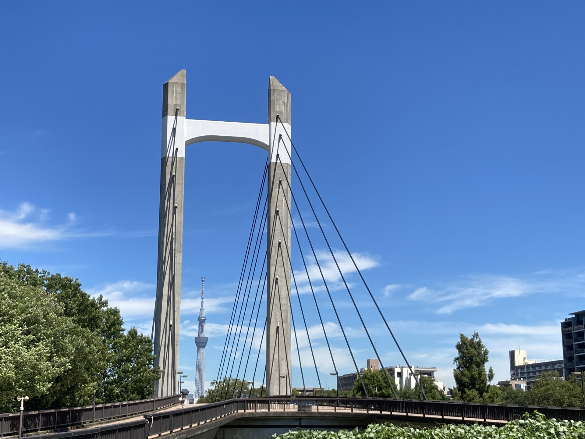 【木場駅】の賃貸相場はどのくらい？住みやすさや特徴も紹介！の画像